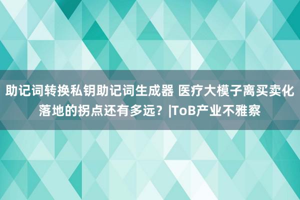 助记词转换私钥助记词生成器 医疗大模子离买卖化落地的拐点还有多远？|ToB产业不雅察