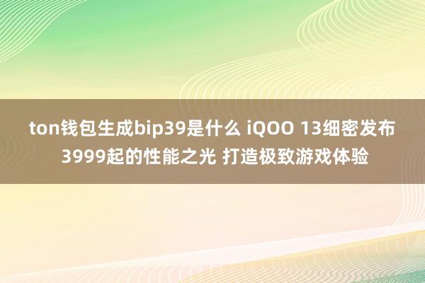 ton钱包生成bip39是什么 iQOO 13细密发布 3999起的性能之光 打造极致游戏体验