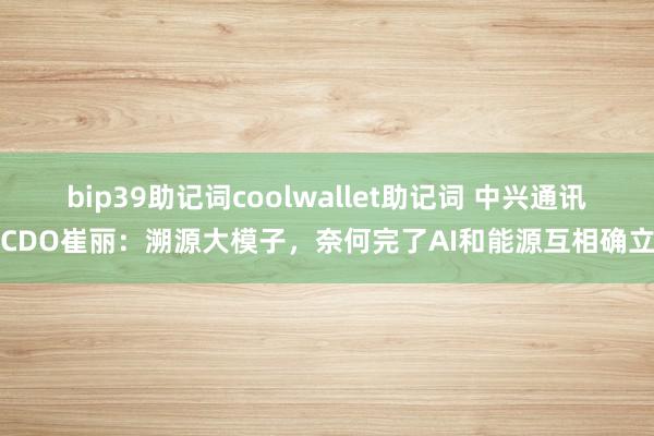 bip39助记词coolwallet助记词 中兴通讯CDO崔丽：溯源大模子，奈何完了AI和能源互相确立